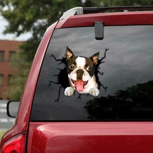 Boston Terrier Cracked Car Decal Sticker | Waterproof | PVC Vinyl | CCS1242