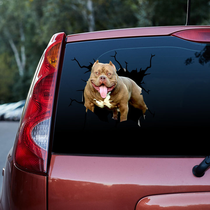Funny Brown American Pitbull Dog Cracked Car Decal Sticker | Waterproof | PVC Vinyl | CCS5002-Colorful-Gerbera Prints.