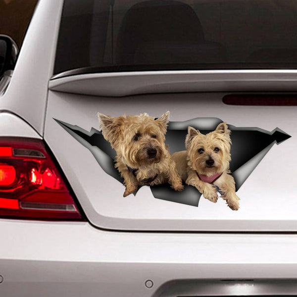 Cairn Terrier Cracked Car Decal Sticker | Waterproof | PVC Vinyl | CCS2534