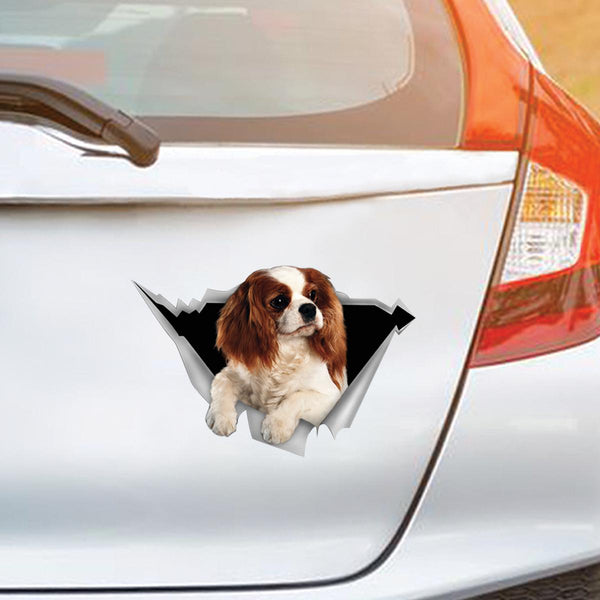 Cavalier King Charles Spaniel Dog Cracked Car Decal Sticker | Waterproof | PVC Vinyl | CCS1607