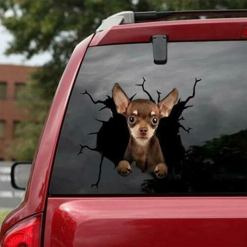 Chihuahua Cracked Car Decal Sticker | Waterproof | PVC Vinyl | CCS1254