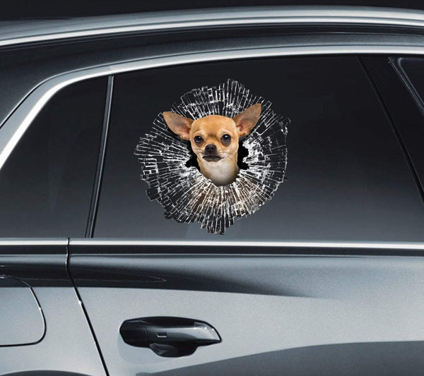 Funny Chihuahua Dog Cracked Car Decal Sticker | Waterproof | PVC Vinyl | CCS2294