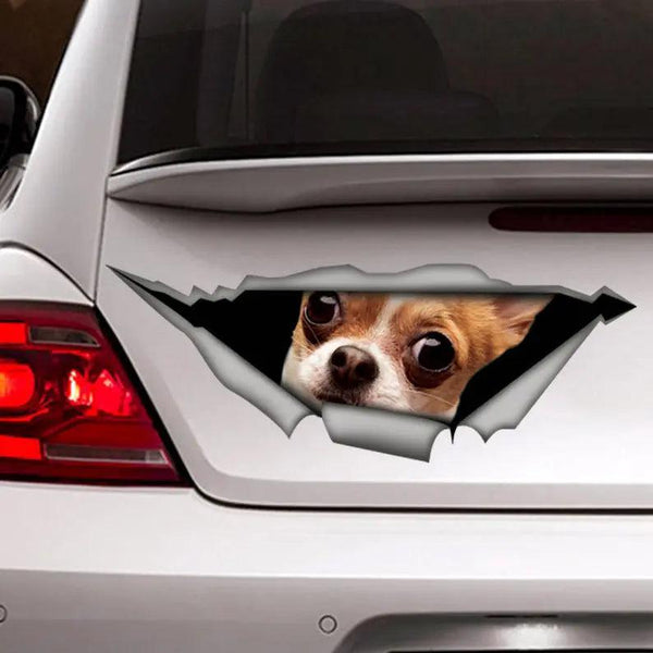 Funny Chihuahua Car Decal Sticker | Waterproof | PVC Vinyl | CCS2538