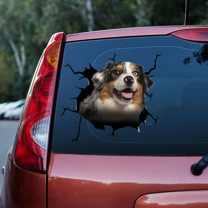 Closeup Australian Shepherd Dog Cracked Car Decal Sticker | Waterproof | PVC Vinyl | CCS5306-Colorful-Gerbera Prints.