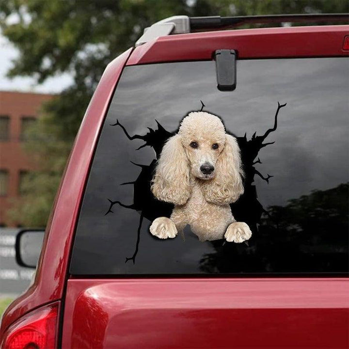 Cute Poodle Cracked Car Decal Sticker | Waterproof | PVC Vinyl | CCS1825