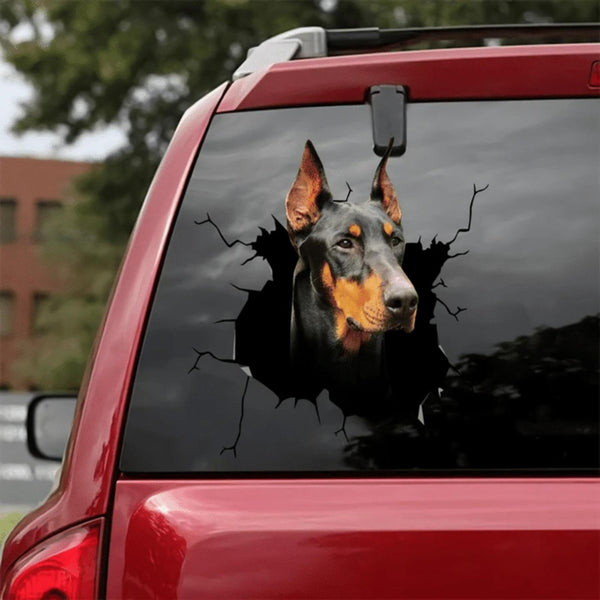 Funny Doberman Cracked Car Decal Sticker | Waterproof | PVC Vinyl | CCS1310