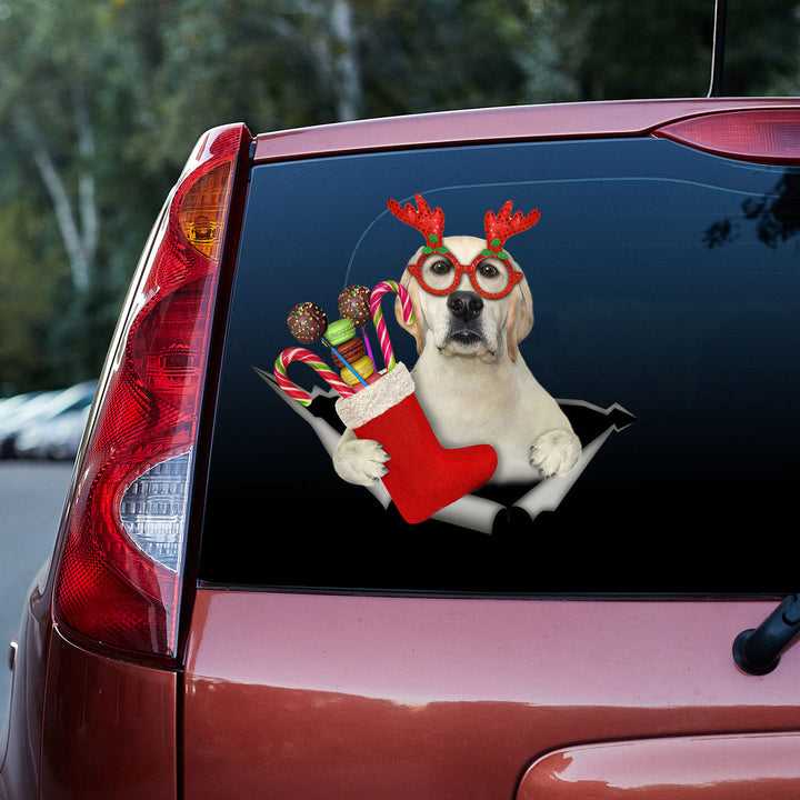 Dog With Red Xmas Sock Cracked Car Decal Sticker | Waterproof | PVC Vinyl | CCS6438-Colorful-Gerbera Prints.