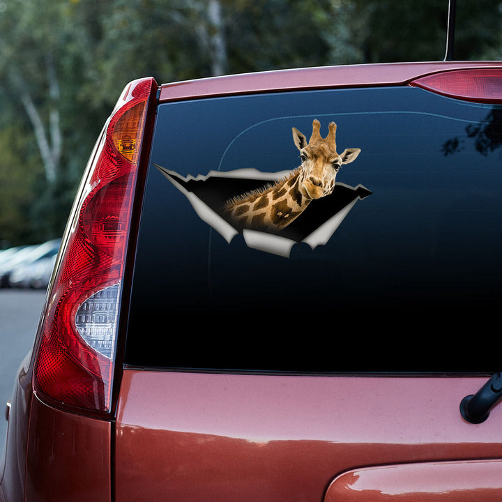 Funny Giraffe Cracked Car Decal Sticker | Waterproof | PVC Vinyl | CCS6087-Colorful-Gerbera Prints.