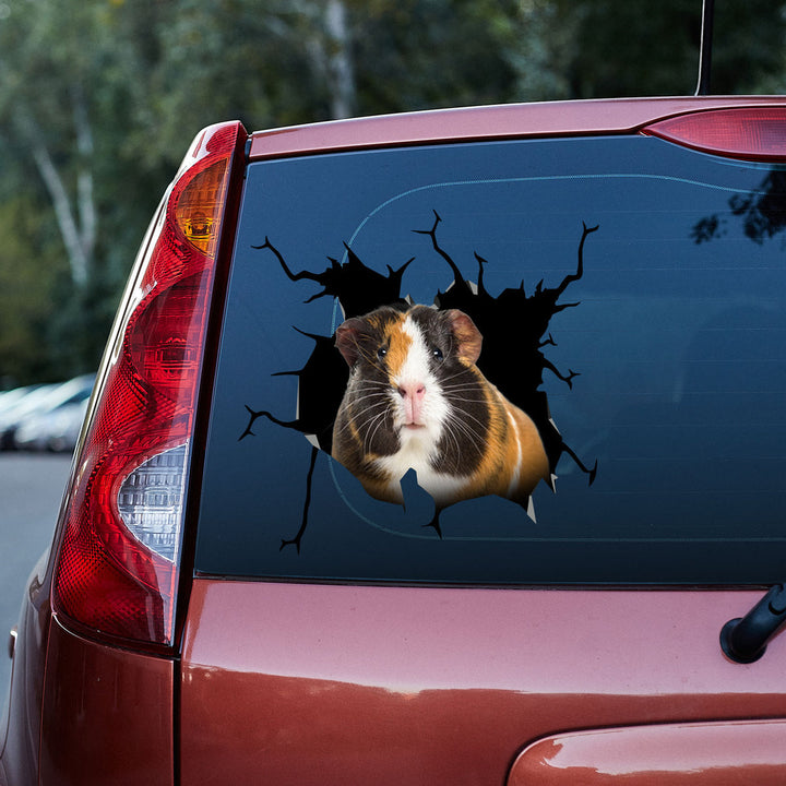 Funny Guinea Pig Cracked Car Decal Sticker | Waterproof | PVC Vinyl | CCS5383-Colorful-Gerbera Prints.