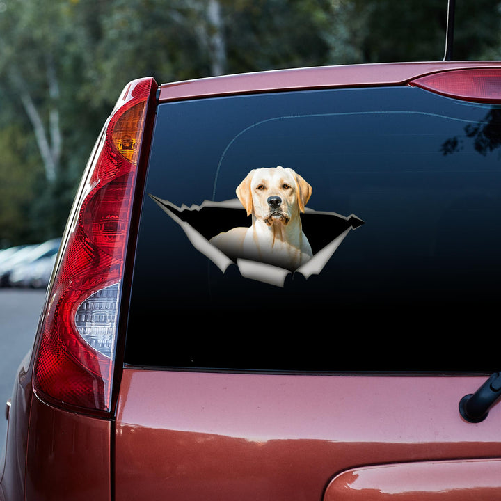 Labrador Retriever Peeking Dog Cracked Car Decal Sticker | Waterproof | PVC Vinyl | CCS6017-Colorful-Gerbera Prints.