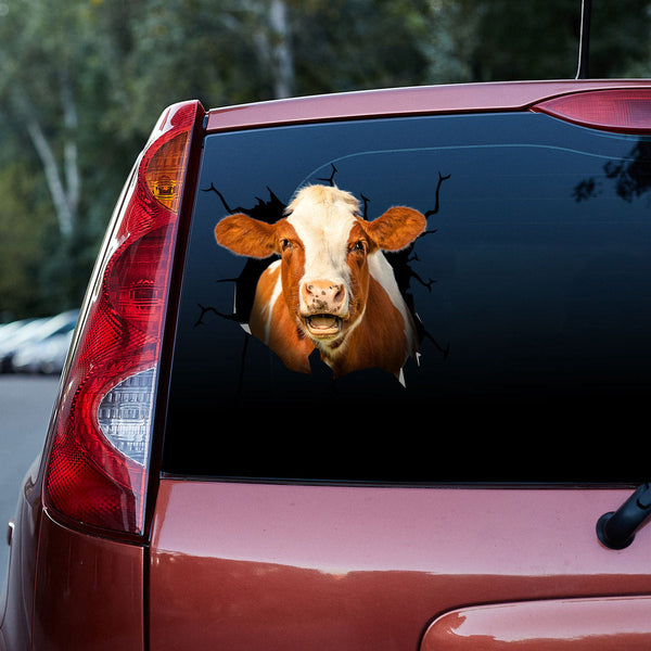 Lovely Angus Mooing Cow Cracked Car Decal Sticker | Waterproof | PVC Vinyl | CCS5118-Colorful-Gerbera Prints.
