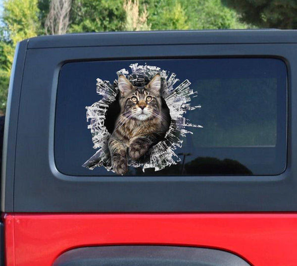 Funny Maine Coon Window Cracked Car Decal Sticker | Waterproof | PVC Vinyl | CCS2486