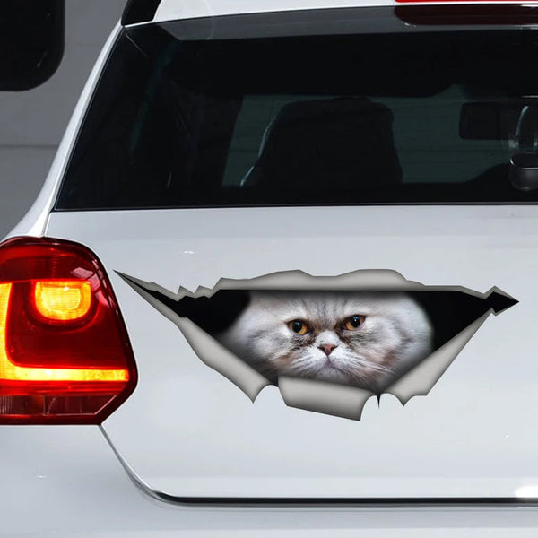 Funny Persian Cat Car Decal Cracked Car Decal Sticker | Waterproof | PVC Vinyl | CCS2644-Colorful-Gerbera Prints.
