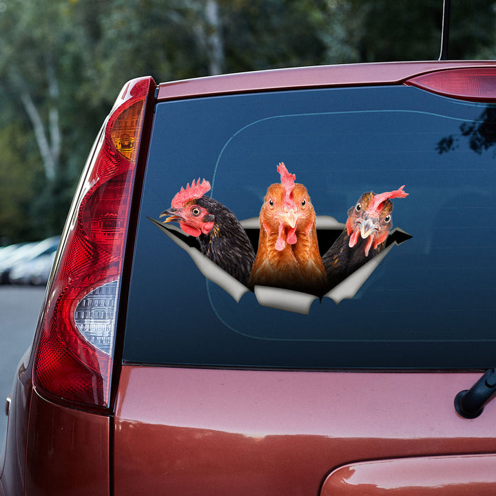 Funny Three Chickens Cracked Car Decal Sticker | Waterproof | PVC Vinyl | CCS6319-Colorful-Gerbera Prints.