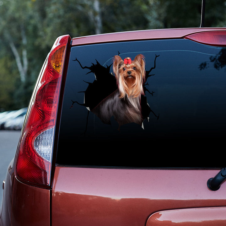 Yorkshire Terrier Cracked Car Decal Sticker | Waterproof | PVC Vinyl | CCS5109-Colorful-Gerbera Prints.