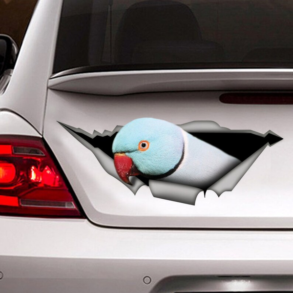 Funny Blue Ringneck Parrot 3D Vinyl Car Decal Stickers CCS2965