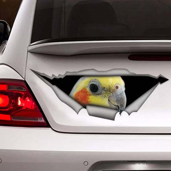 Funny Hyacinth Macaw Parrot 3D Vinyl Car Decal Stickers CCS2959