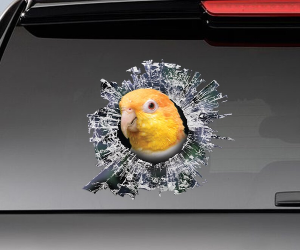 Funny Yellow Rusty Caique Parrot 3D Vinyl Car Decal Stickers CCS2967