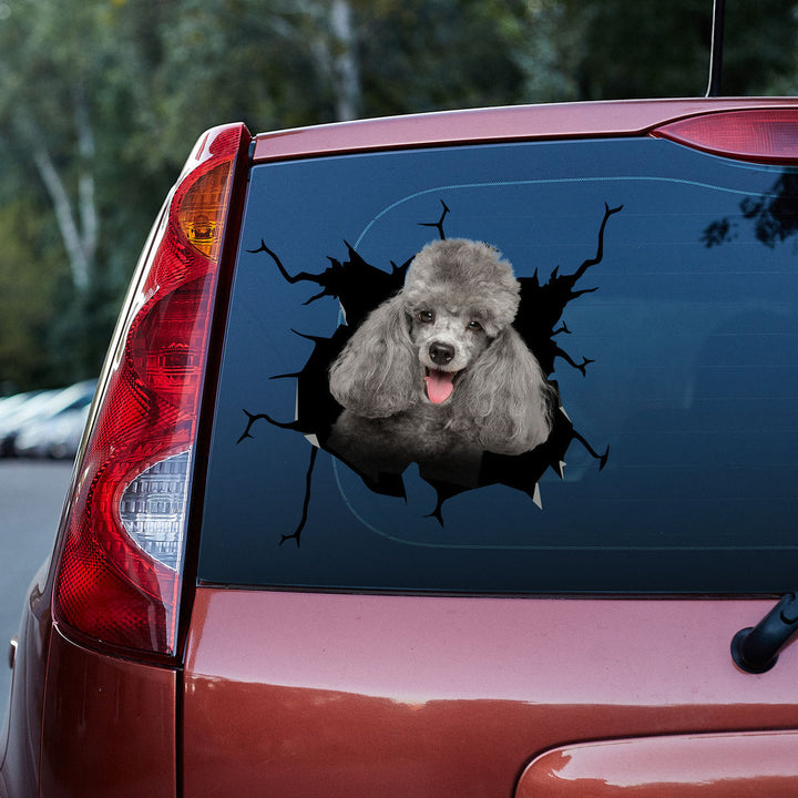 Happy Poodle Funny Dog Cracked Car Decal Sticker | Waterproof | PVC Vinyl | CCS5311-Colorful-Gerbera Prints.