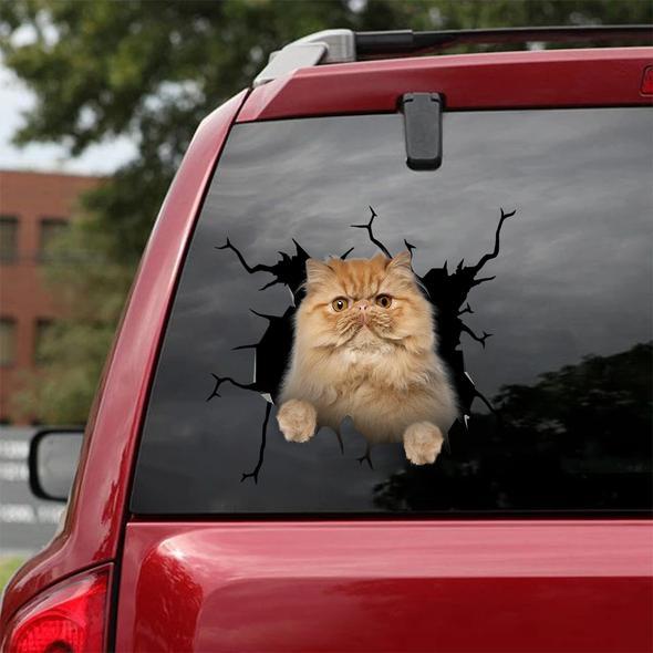 Cats Lover Cracked Car Decal Sticker | Waterproof | PVC Vinyl | CCS1720