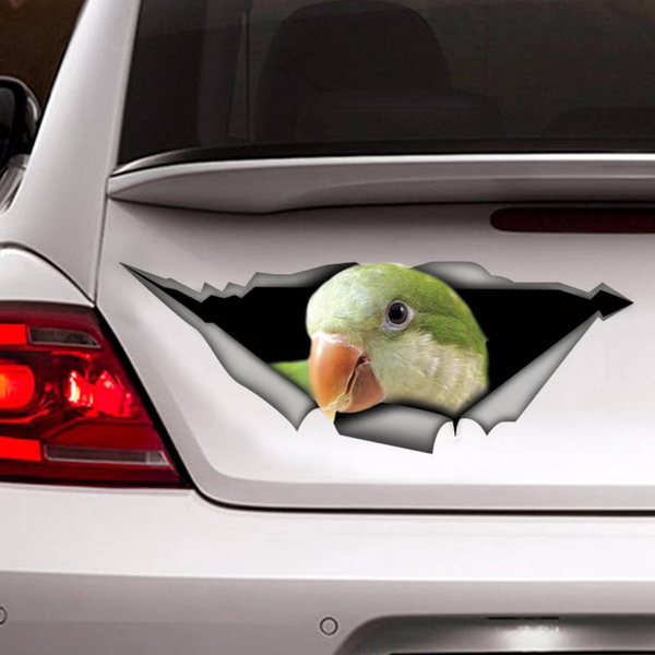 Funny Quaker Parakeet Parrot 3D Vinyl Car Decal Stickers CCS2957