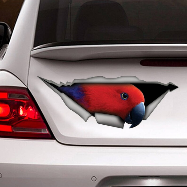 Funny Red Eclectus Parrot 3D Vinyl Car Decal Stickers CCS2962
