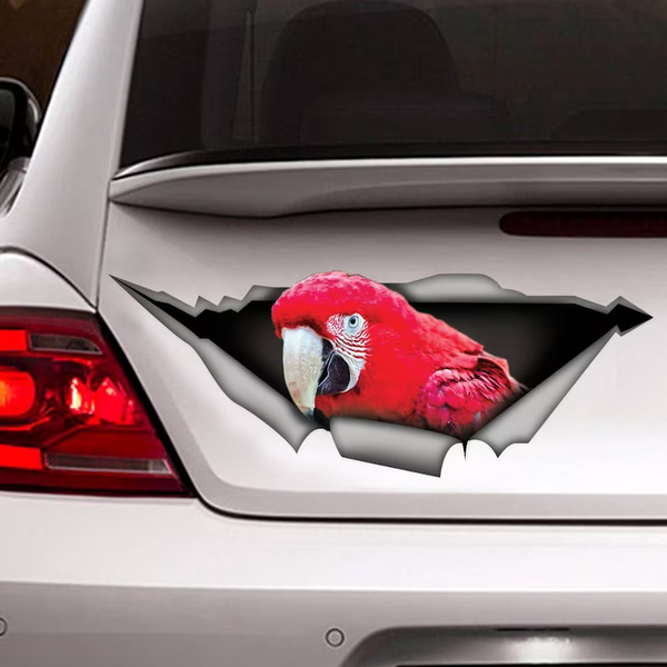 Funny Red Macaw Parrot 3D Vinyl Car Decal Stickers CCS2960