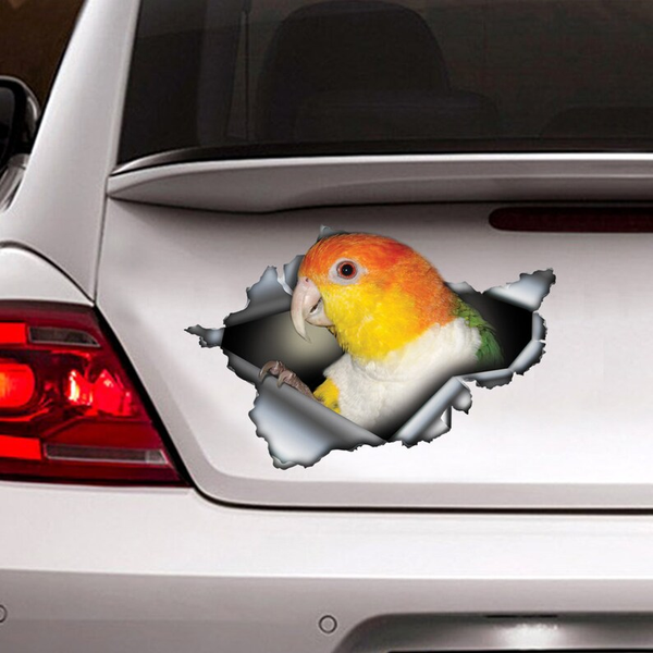 Funny Rusty Caique Parrot 3D Vinyl Car Decal Stickers CCS2950