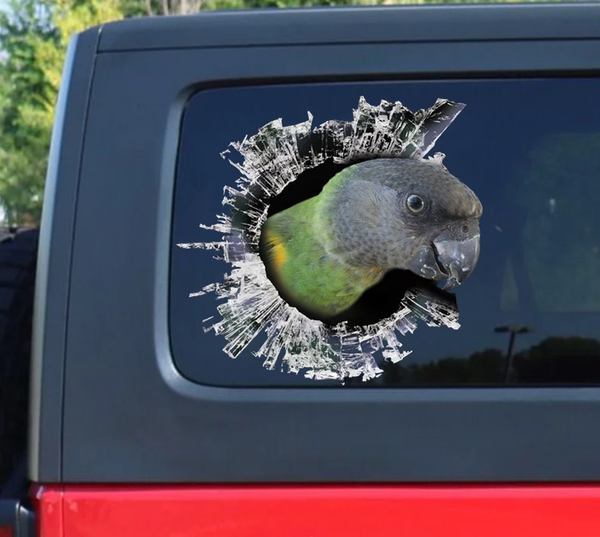 Funny Senegal Parrot 3D Vinyl Car Decal Stickers CCS2952