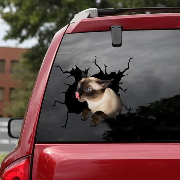 Cats Lover Cracked Car Decal Sticker | Waterproof | PVC Vinyl | CCS1946