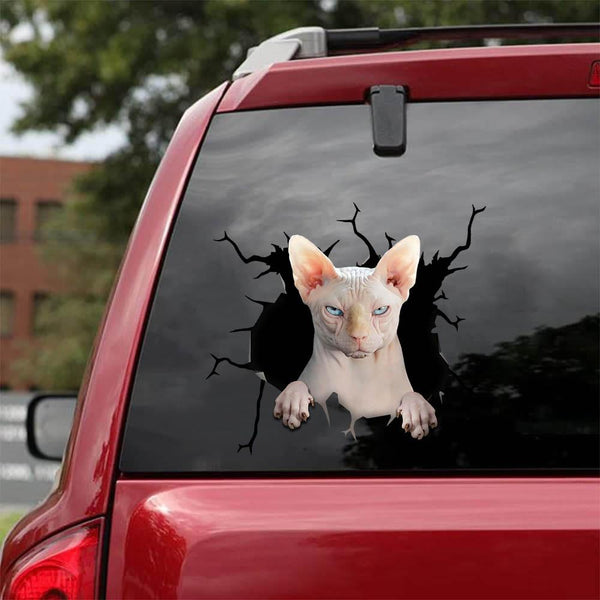 Cats Lover Cracked Car Decal Sticker | Waterproof | PVC Vinyl | CCS2076