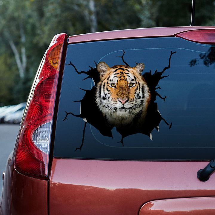 The Tiger Is Staring At You Cracked Car Decal Sticker | Waterproof | PVC Vinyl | CCS5337-Colorful-Gerbera Prints.