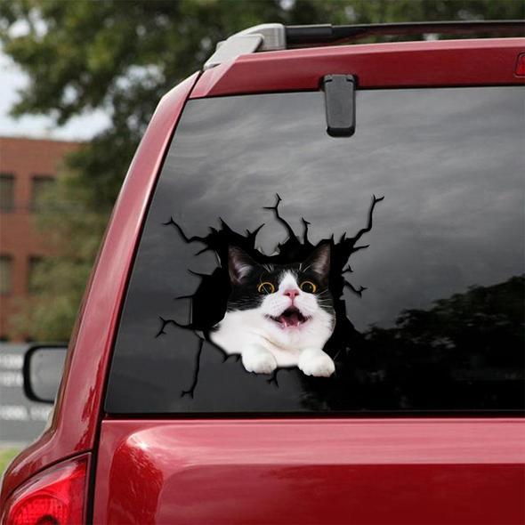 Cats Lover Cracked Car Decal Sticker | Waterproof | PVC Vinyl | CCS2093