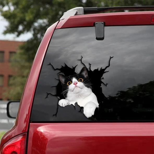 Cats Lover Cracked Car Decal Sticker | Waterproof | PVC Vinyl | CCS1756