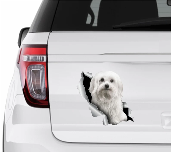 White Maltese Dog 3D Vinyl Car Decal Stickers CCS3260