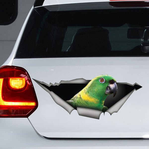 Yellow-naped Amazon parrot Cracked Car Decal Sticker | Waterproof | PVC Vinyl | CCS2782-Colorful-Gerbera Prints.
