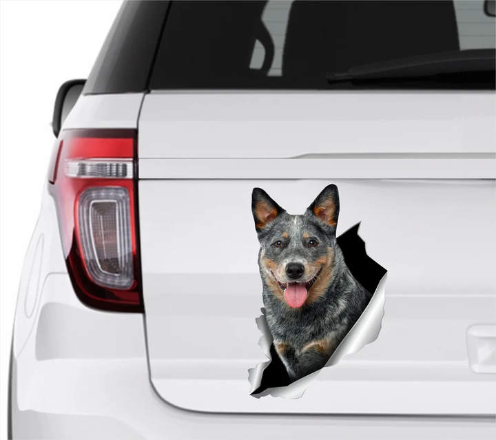 Blue Heeler Dog 3D Vinyl Car Decal Stickers CCS3246