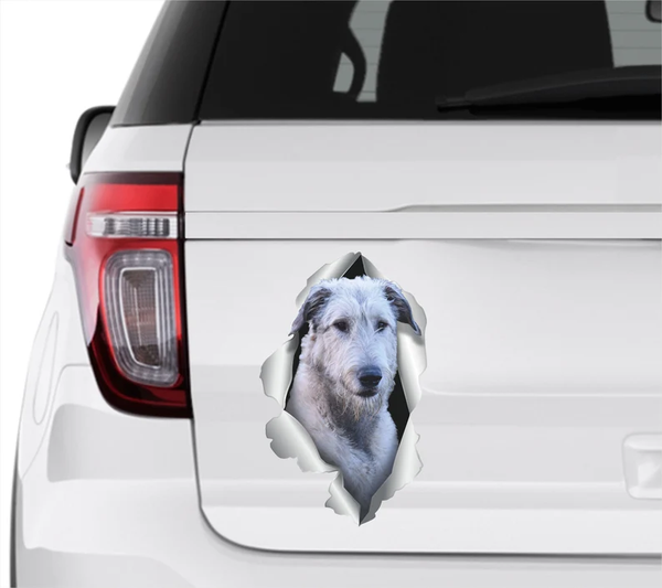 Irish Wolfhound Dog 3D Vinyl Car Decal Stickers CCS3254