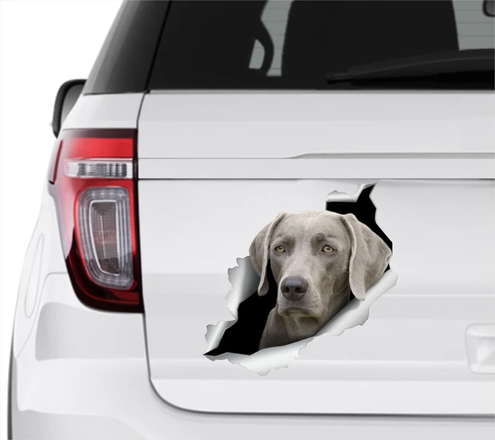 Gray Weimaraner Dog 3D Vinyl Car Decal Stickers CCS3255