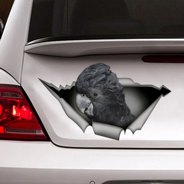 Black Cockatoo Parrot 3D Vinyl Car Decal Stickers CCS3339