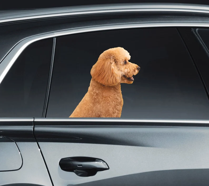 Cute Brown Toy Poodle Dog 3D Vinyl Car Decal Stickers CCS3366