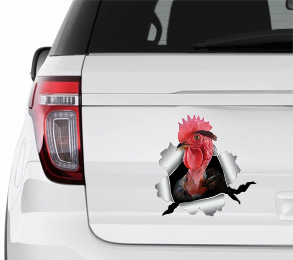 Naked Neck Chicken 3D Vinyl Car Decal Stickers CCS3448
