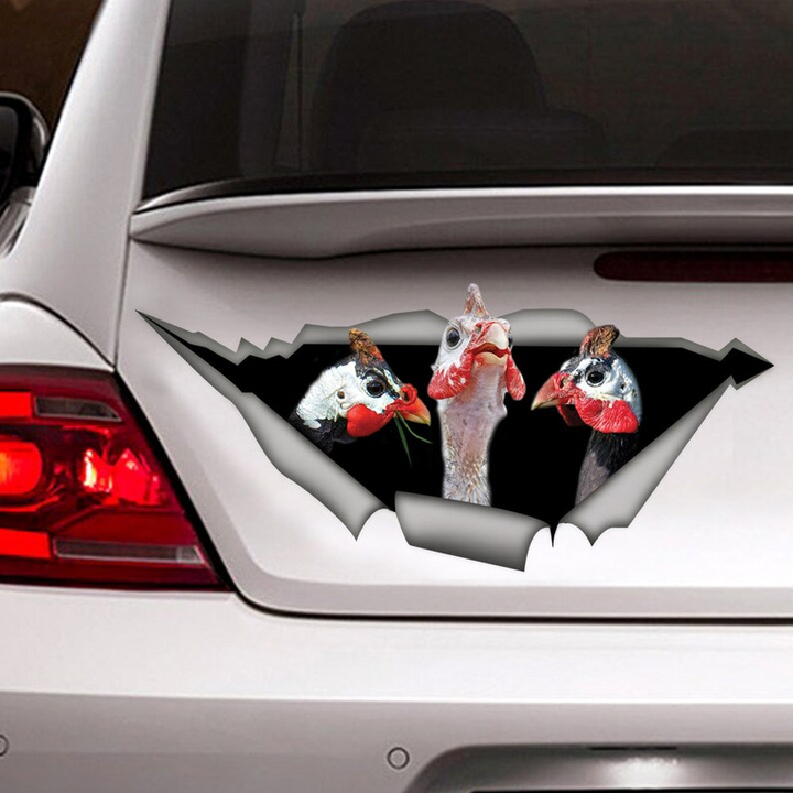 Guinea Fowl Bird Chicken  3D Vinyl Car Decal Stickers CCS3356