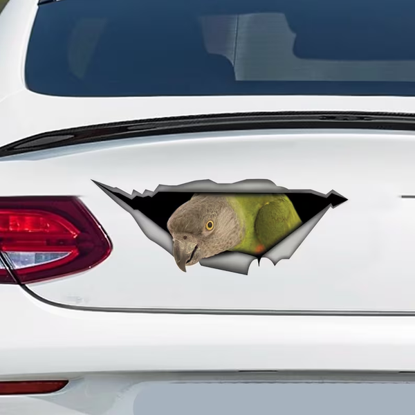 Green Senegal Parrot 3D Vinyl Car Decal Stickers CCS3358