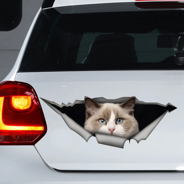Cute Ragdoll Cat 3D Vinyl Car Decal Stickers CCS2912