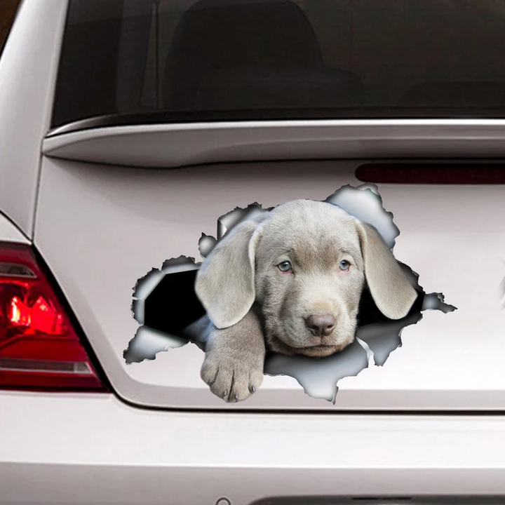 Silver Labrador Puppy Dog 3D Vinyl Car Decal Stickers CCS3063