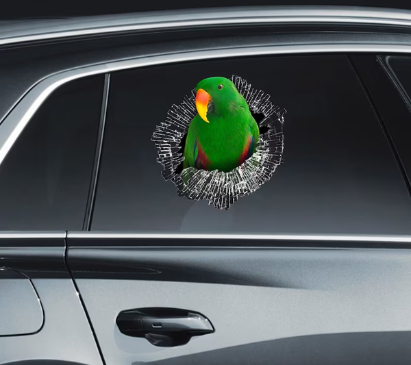 Green Eclectus Parrot 3D Vinyl Car Decal Stickers CCS3439