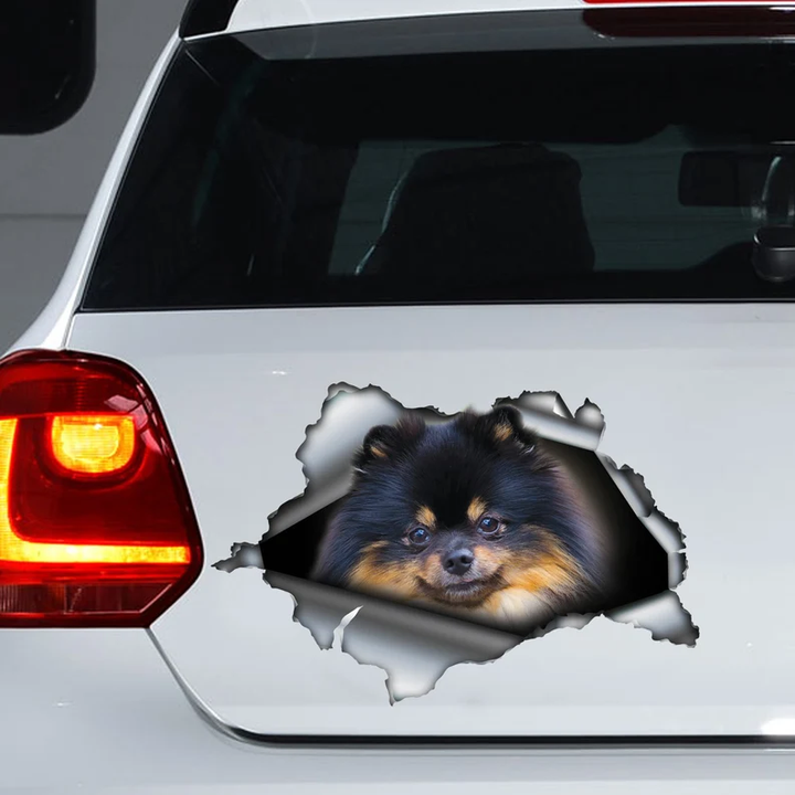 Black Brown Pom Dog 3D Vinyl Car Decal Stickers CCS3001