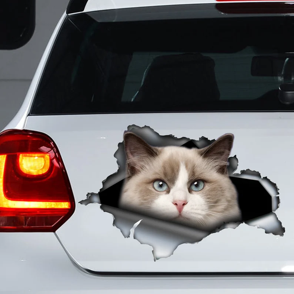Cute Ragdoll Cat 3D Vinyl Car Decal Stickers CCS2913
