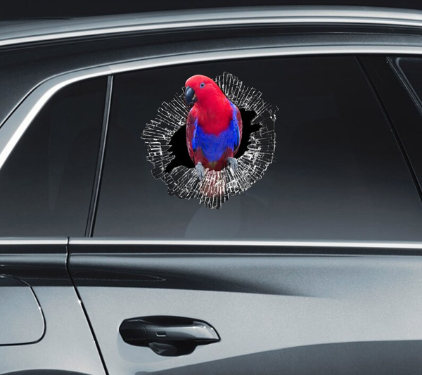 Red Eclectus Parrot 3D Vinyl Car Decal Stickers CCS3438